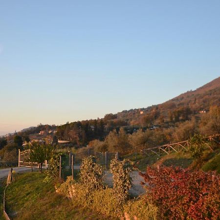 Locazione Turistica Villa Delle Rose Assisi Dış mekan fotoğraf