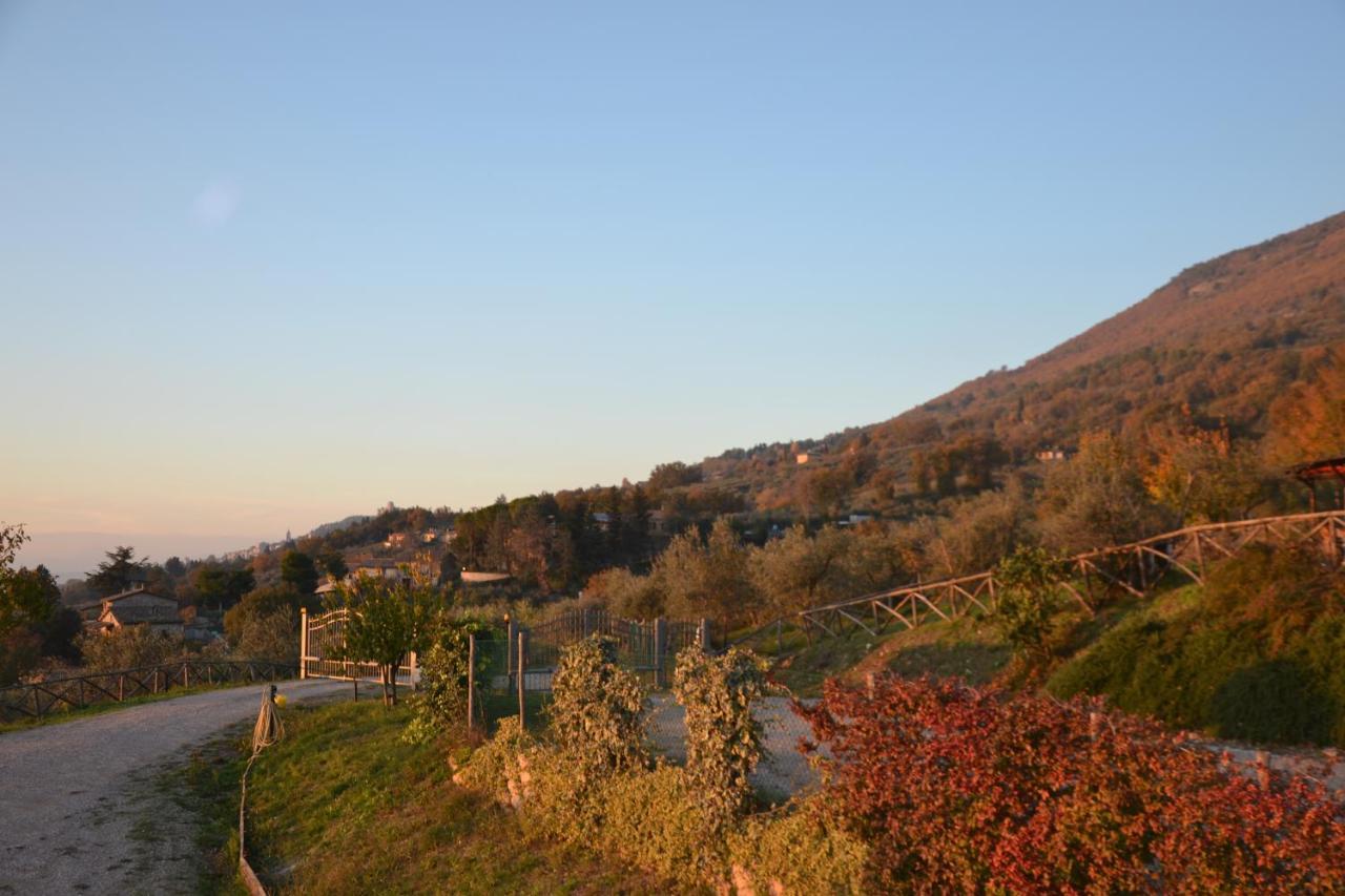 Locazione Turistica Villa Delle Rose Assisi Dış mekan fotoğraf