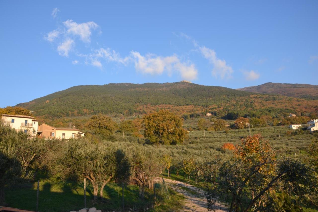 Locazione Turistica Villa Delle Rose Assisi Dış mekan fotoğraf